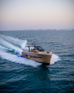 DJI_0305
